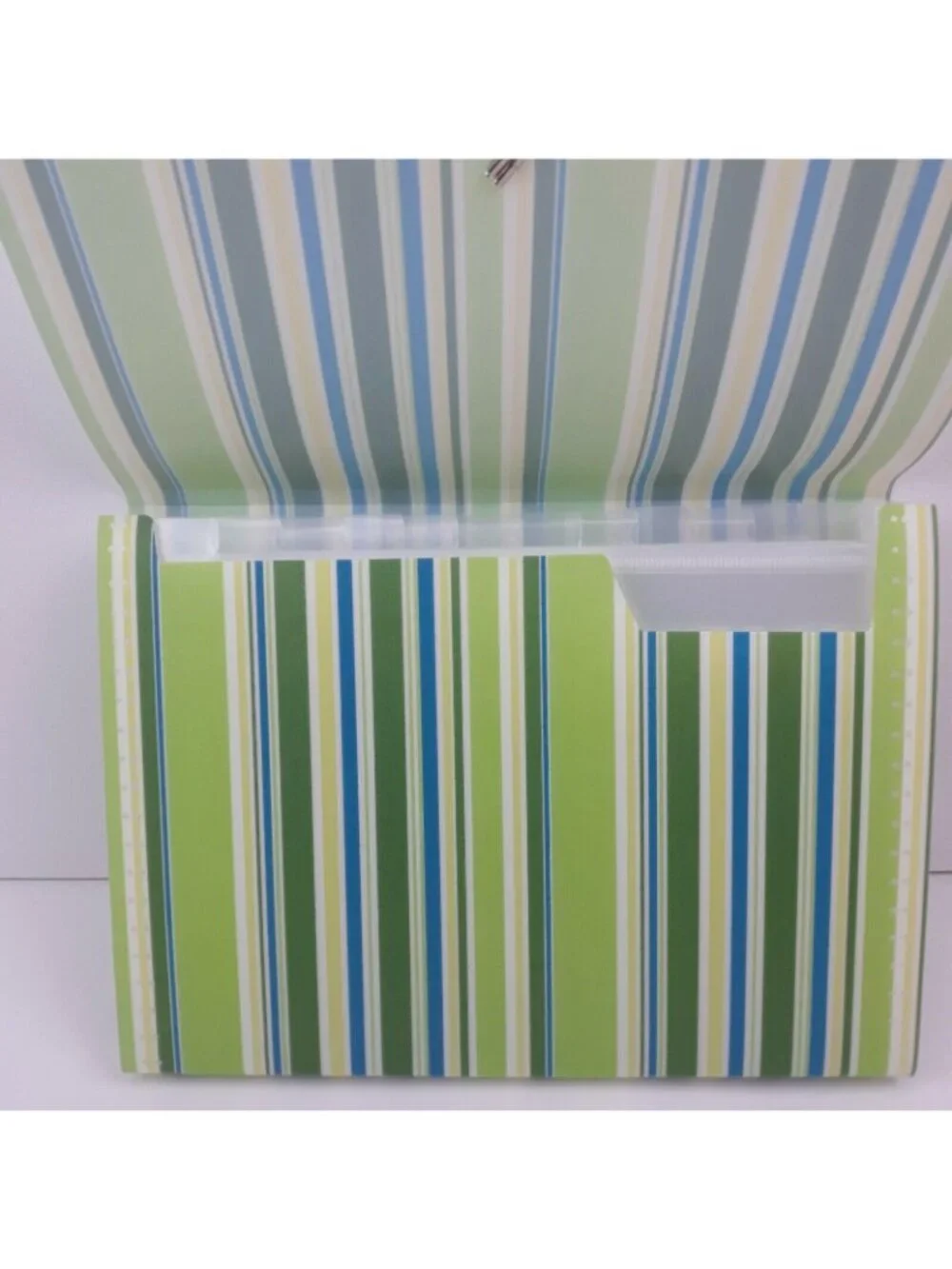 Accordion Paper File Folder Green Blue Striped Organizer Alphabetical Monthly